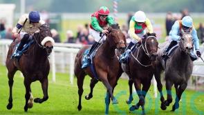 Mill Stream digs deep to take Duke of York honours