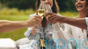 Fantastic fizzes for summer soirées, all £20 and less