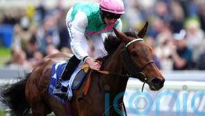 Bluestocking wows with Middleton demolition