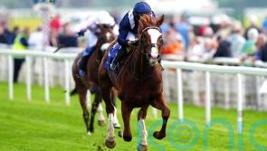 Economics adds up for Haggas in brilliant Dante success