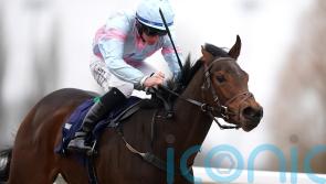 Pandora’s Gift primed for tough turf debut against Vandeek at Haydock