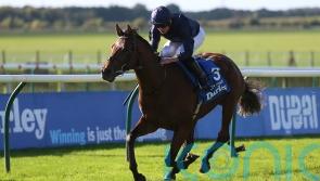 O’Brien: City Of Troy and Ylang Ylang all set for Epsom