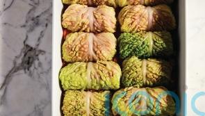 Benny Blanco’s cabbage rolls recipe