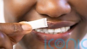 How addictive are ‘snus’ nicotine pouches and what do they do to your body?