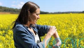 As British tourists warned about ‘monster ticks’ at holiday hotspots, what you need to look out for