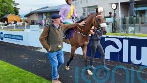 Heaven buyers aiming big – from Royal Ascot to Australia