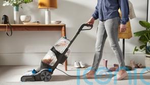 How dirty are your carpets and what’s lurking in them?