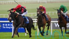 Rogue Millennium on course to defend Duke of Cambridge crown