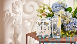 5 summer gins to forage for right now