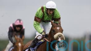 ‘Very game’ Tolstoy records notable Knavesmire double