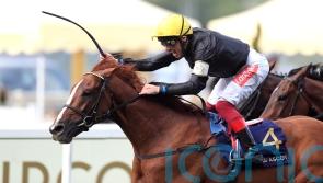 Gold Cup hero Stradivarius centre of attention in new home at National Stud