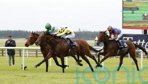 St James’s Palace poised to be crowning glory for clash of the Classic winners