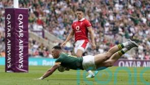 South Africa pull clear in second half to overcome resilient Wales