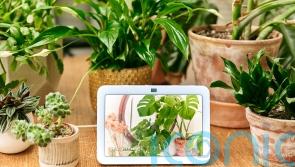 How tech and AI can help keep your garden blooming