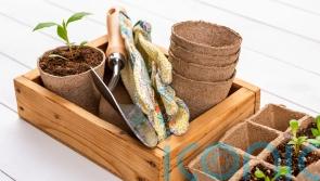 Plastic Free July: How to do your bit in the garden