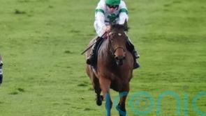 Goodwood and Paris enter Tamfana equation