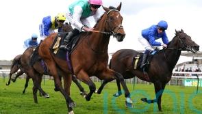 Kikkuli in line for crack at top-grade honours in France