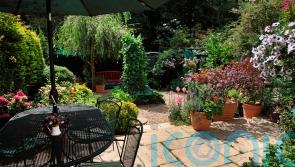 How to prepare your garden before you go on your summer holiday