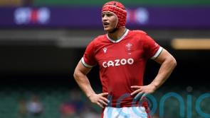 Wales recall Sir Ian Botham’s grandson James in bid to salvage Australia series