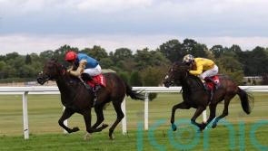 Palmer looking for It Ain’t Two to hit the back of the net