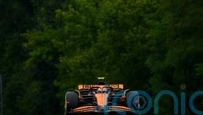Lando Norris secures fastest time in final practice for Hungarian Grand Prix