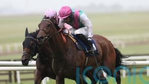 Bluestocking connections keen for ease in the ground ahead of King George bid