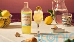 5 summer spritzes to sip in the sunshine