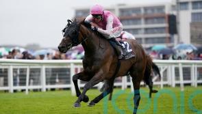 Gosden duo in fine spirits ahead of Goodwood Cup test