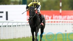 Vandeek to miss Prix Maurice de Gheest