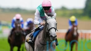 Promising Field Of Gold set for rise in class
