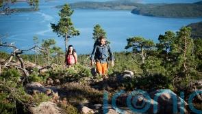 Looking for a cooler climate this summer? Head to the world’s highest coastline in Sweden