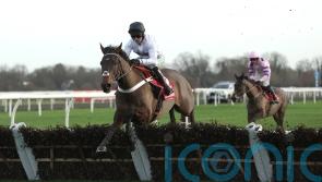 Henderson: Constitution Hill looks absolutely magnificent