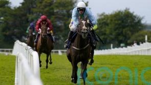 Ebor next for Jackfinbar after opening jumps account at Galway