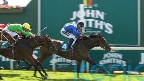Anmaat on course for Haydock comeback after long lay-off