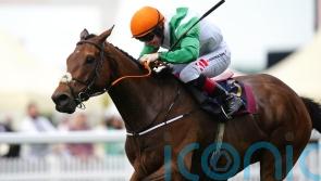 Crystal Black firmly in Melbourne Cup picture after Ballyroan triumph