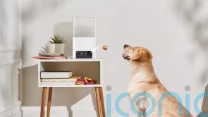 5 of the best bits of tech for pet owners