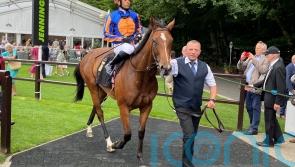 Sweet success for O’Brien at Newmarket with Lake Victoria