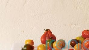 3 new Mediterranean cookbooks to channel holiday vibes at home