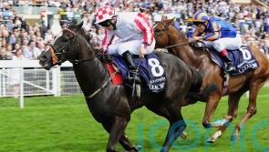 Lynam looks back fondly on &lsquo;great days&rsquo; with Nunthorpe hero Sole Power