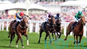 Shareholder will be coming back in trip after Morny disappointment