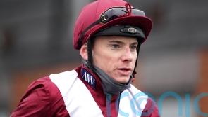 Shepherd ‘completely refutes’ ruling of stewards at Kempton