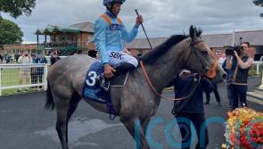 Shouldvebeenaring given Sprint Cup target