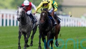 Plenty of opposition for Inisherin in Sprint Cup field