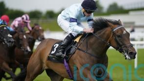 Still Believing! Highclere have sights set on big Irish prizes
