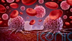 Blood Cancer Awareness Month: All the symptoms you need to look out for