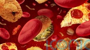What is cholesterol and how can we lower it?