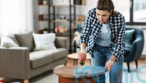 5 DIY jobs to mark the switch in season and spruce up your space