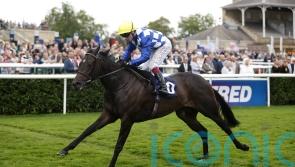 Sceptre defence top of Cotter’s agenda for Matilda Picotte