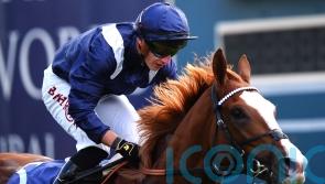 ‘This is what it is all about’ – Haggas ready to unleash Economics