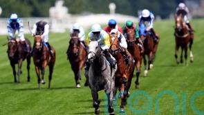 ‘Complete horse’ Charyn primed for mouthwatering Moulin